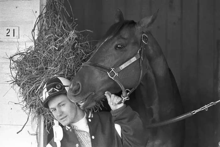 Framed Print : Ron Turcotte Playing with Secretariat Framed Print : Ron Turcotte Playing with Secretariat