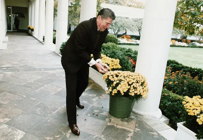 Framed Print : Ronald Reagan Feeding Unseen Squirrels Framed Print : Ronald Reagan Feeding Unseen Squirrels