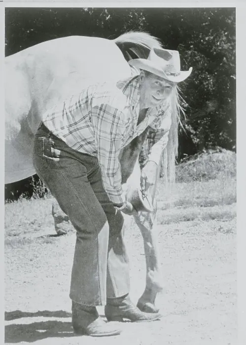 Framed Print : Ronald Reagan Grooming Horse Framed Print : Ronald Reagan Grooming Horse