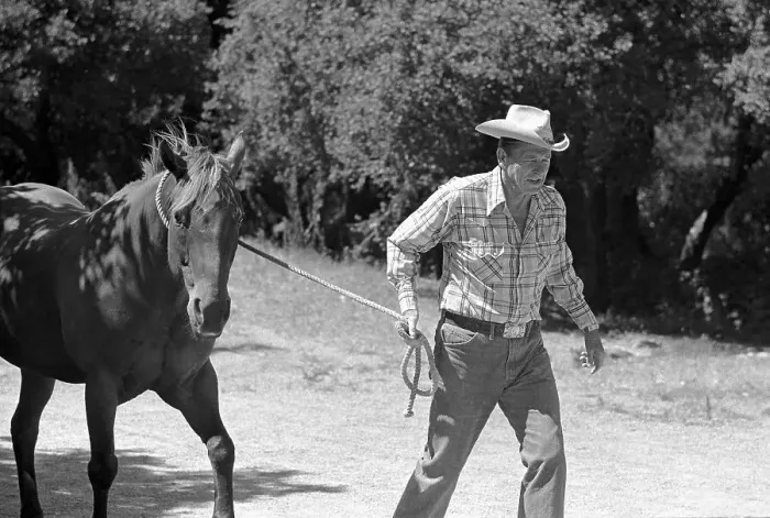 Framed Print : Ronald Reagan Leading His Horse at His Ranch Framed Print : Ronald Reagan Leading His Horse at His Ranch