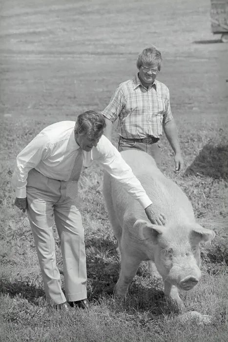 Framed Print : Ronald Reagan Pampering Large Pig Framed Print : Ronald Reagan Pampering Large Pig