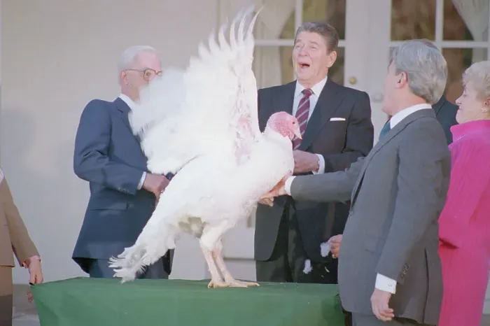 Framed Print : Ronald Reagan Reacting to Turkey Flapping Wings Framed Print : Ronald Reagan Reacting to Turkey Flapping Wings
