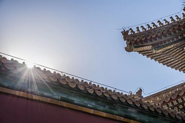 detail of roof of the hall of supreme harmony, forbidden city