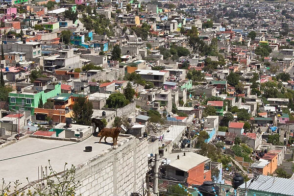 Roofs in Mexico city favela landscape