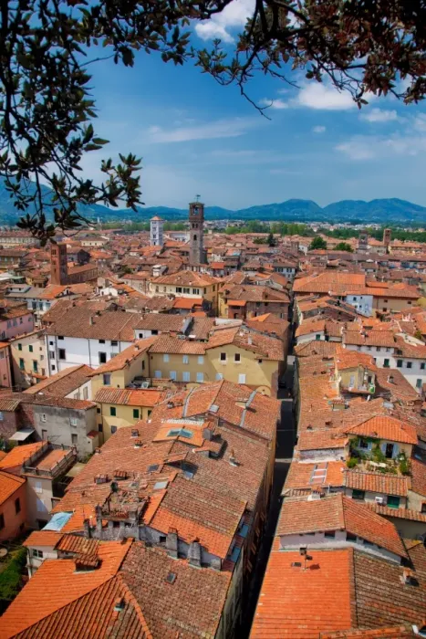 Framed Print : Rooftops of houses, Lucca, Italy Framed Print : Rooftops of houses, Lucca, Italy