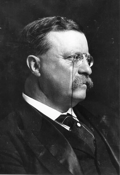 Roosevelt Portrait