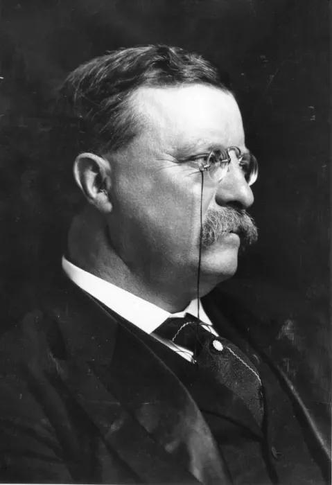Framed Print : Roosevelt Portrait Framed Print : Roosevelt Portrait