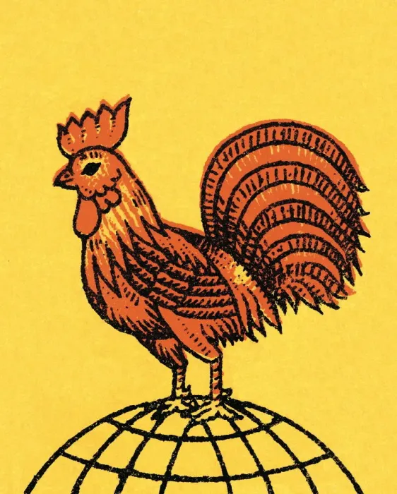 Framed Print : Rooster. http: / / csaimages.com / images / istockprofile / csa_vector_dsp.jpg Framed Print : Rooster. http: / / csaimages.com / images / istockprofile / csa_vector_dsp.jpg