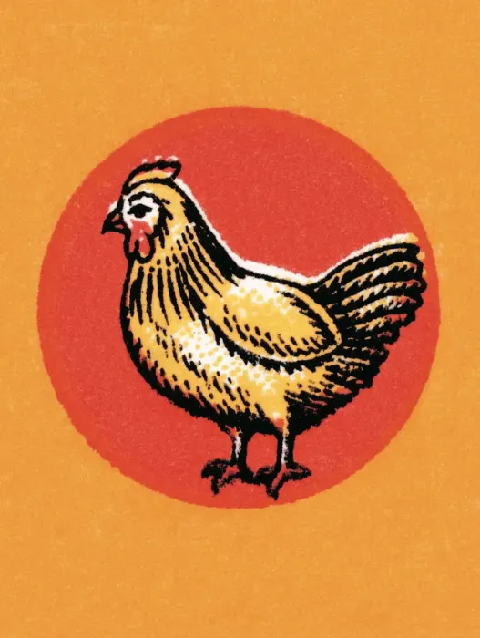 Framed Print : Rooster. http: / / csaimages.com / images / istockprofile / csa_vector_dsp.jpg Framed Print : Rooster. http: / / csaimages.com / images / istockprofile / csa_vector_dsp.jpg