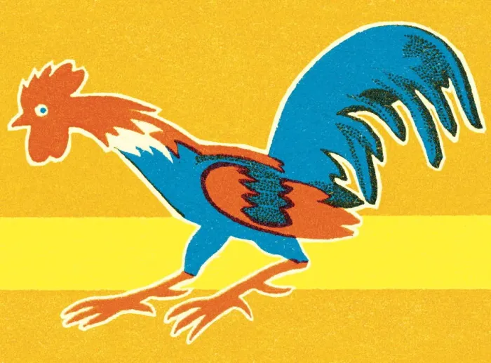 Framed Print : Rooster. http: / / csaimages.com / images / istockprofile / csa_vector_dsp.jpg Framed Print : Rooster. http: / / csaimages.com / images / istockprofile / csa_vector_dsp.jpg
