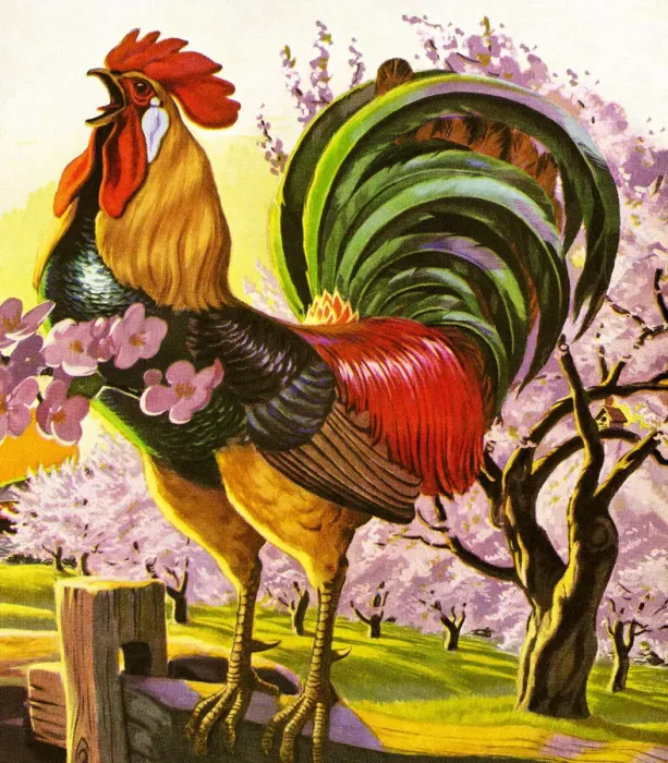 Framed Print : Rooster Framed Print : Rooster
