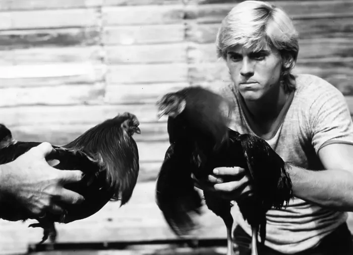 Framed Print : Rooster Film Still