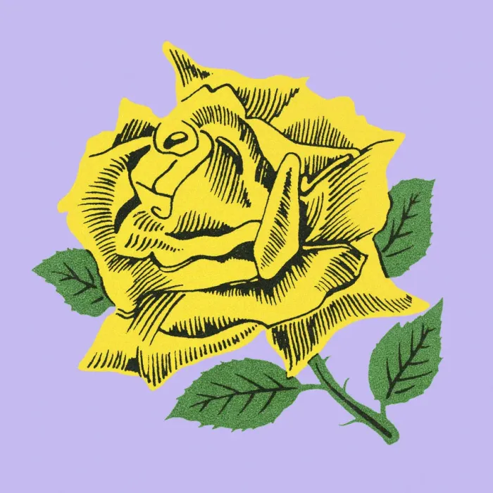 Framed Print : Rose Framed Print : Rose