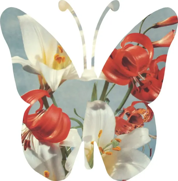 Framed Print : Rose Butterfly Framed Print : Rose Butterfly