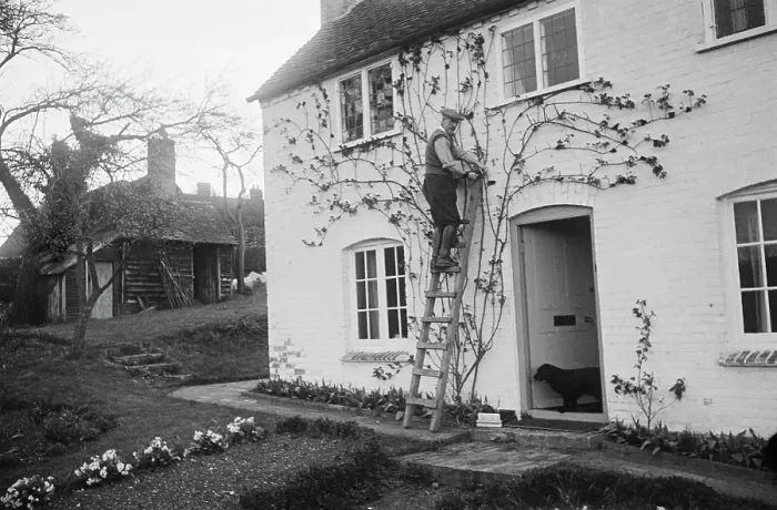 Framed Print : Rose Cottage Garden In Spring Framed Print : Rose Cottage Garden In Spring