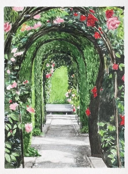 Rose-covered bower, front view