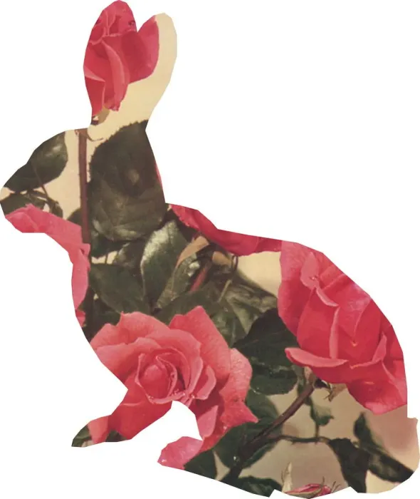 Framed Print : Rose rabbit Framed Print : Rose rabbit