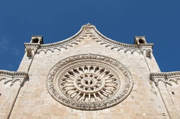 Rose window, Ostuni Cathedral, Cattedrale di Santa Maria Assunta, Ostuni, Apulia, Italy