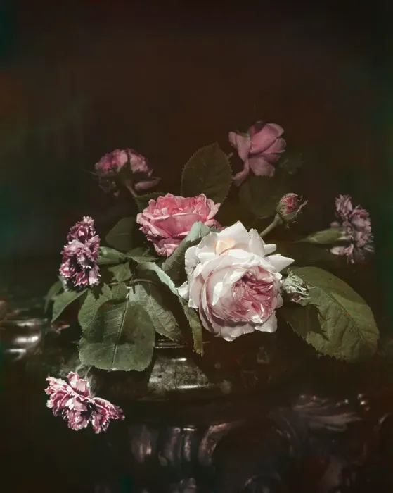 Framed Print : Roses And Carnations Framed Print : Roses And Carnations