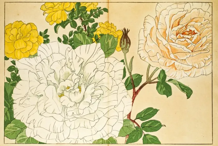 Framed Print : Roses japanese woodblock print Framed Print : Roses japanese woodblock print