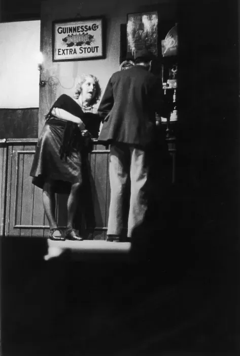 Framed Print : Rosie And The Covey Framed Print : Rosie And The Covey