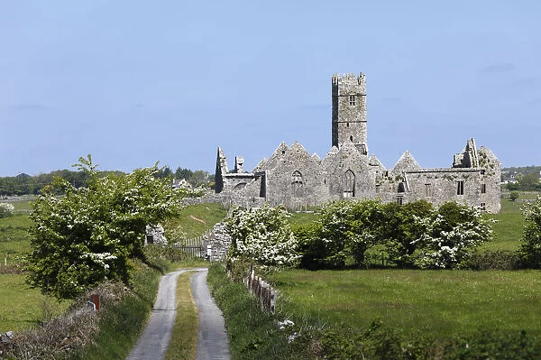 Ross Abbey near Headford, County Galway, Connacht, Republic of Ireland, Europe
