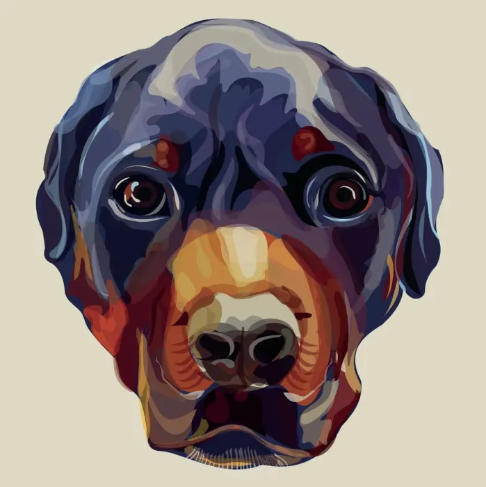 Framed Print : Rottweiler Head Illustration Framed Print : Rottweiler Head Illustration