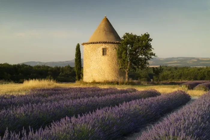 Framed Print : Round tower, lavender, Sault in Provence, France Framed Print : Round tower, lavender, Sault in Provence, France