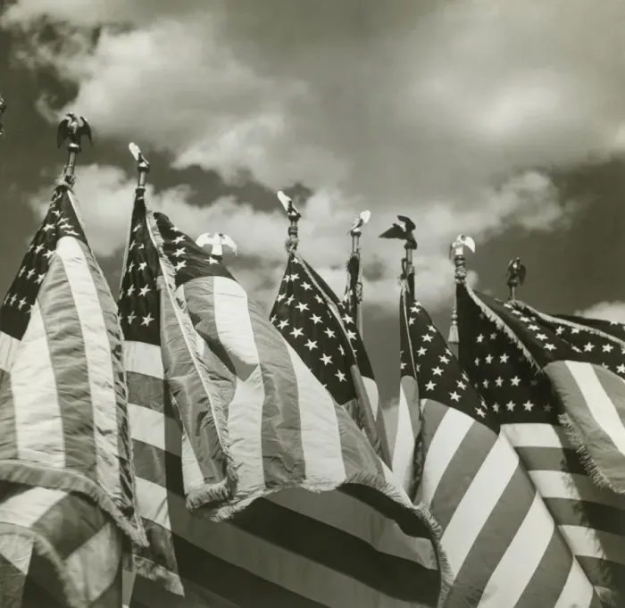 Framed Print : Row of American flags Framed Print : Row of American flags