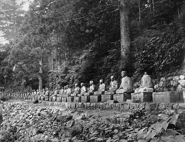 Row Of Buddhas