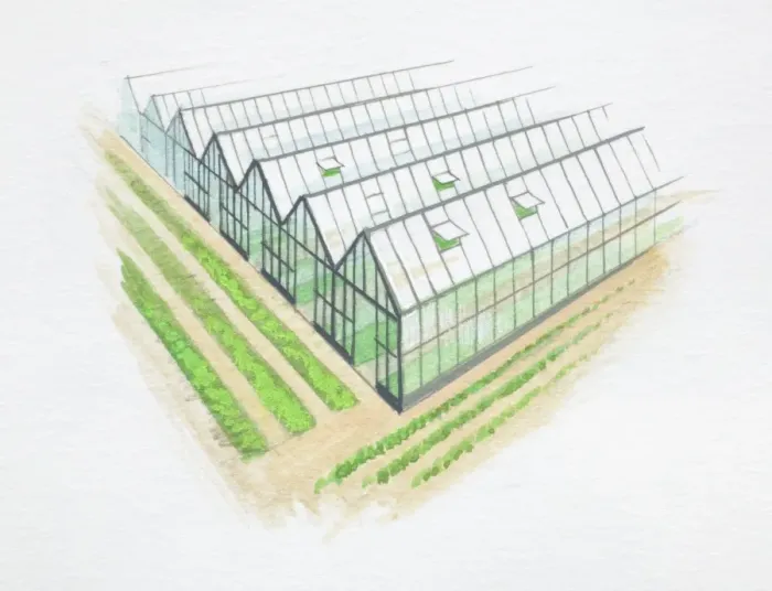 Framed Print : Row of greenhouses Framed Print : Row of greenhouses