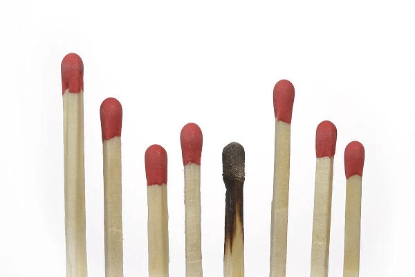 A row of matches, one match is burned, symbolic image of burnout, exclusion, Germany