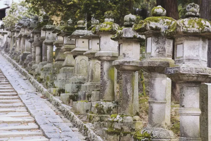 Framed Print : Row of stone lanterns in Nara Park