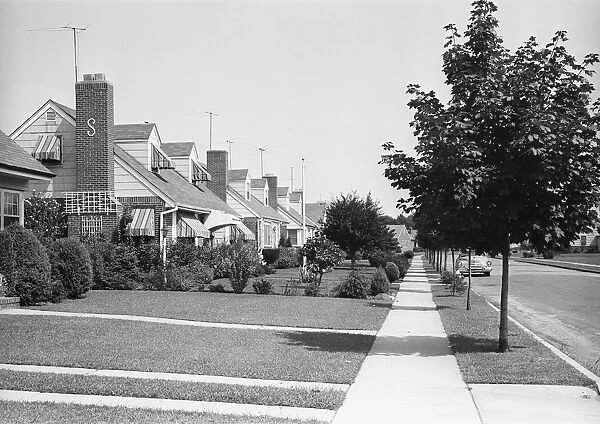 Row of suburban houses