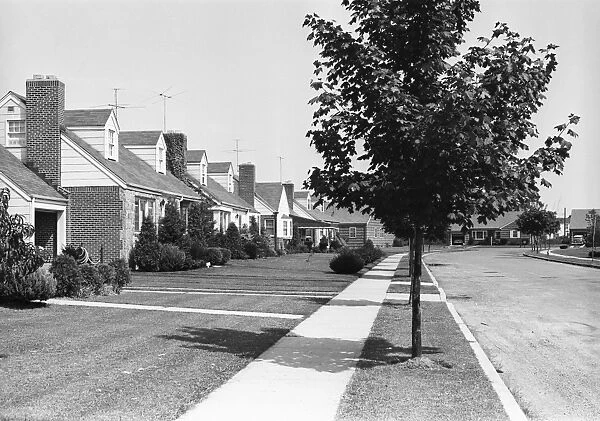 Row of suburban houses