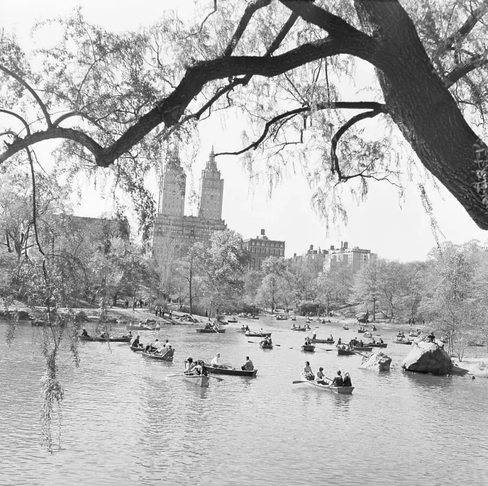 Framed Print : Rowboats Dotting Lake in Central Park Framed Print : Rowboats Dotting Lake in Central Park