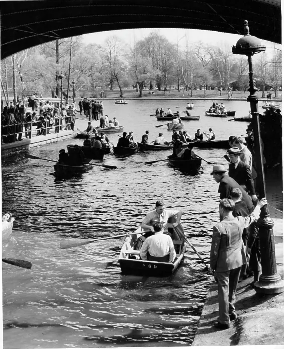 Framed Print : Rowers On A Lake In New York City, New York Framed Print : Rowers On A Lake In New York City, New York