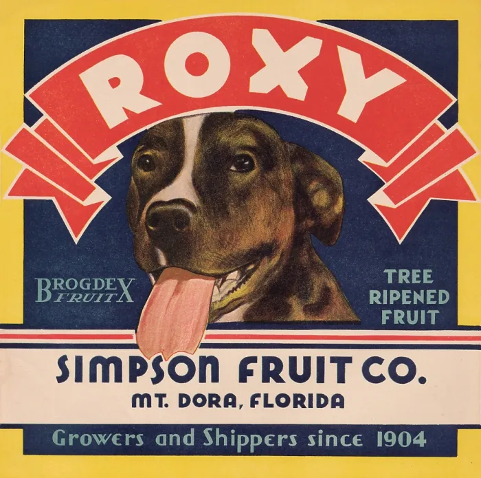 Framed Print : Roxy Tree Ripened Fruit Framed Print : Roxy Tree Ripened Fruit