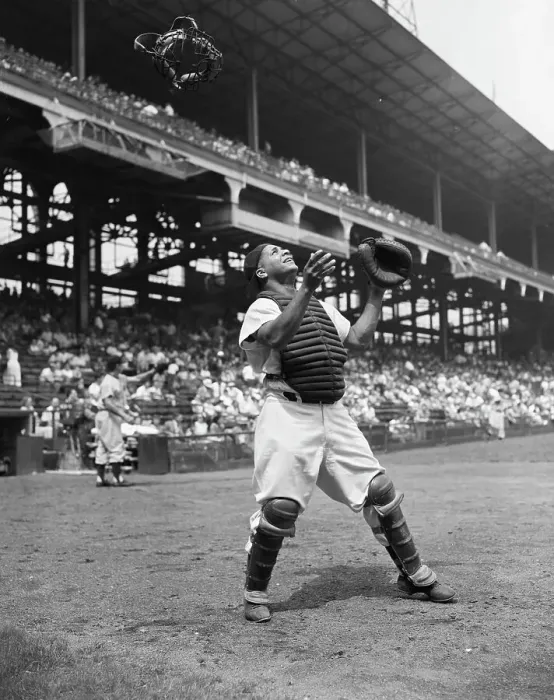 Framed Print : Roy Campanella Looking Up to Catching Ball Framed Print : Roy Campanella Looking Up to Catching Ball