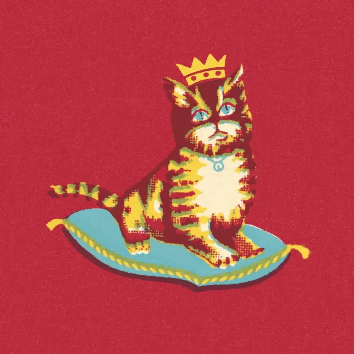 Framed Print : Royal Cat Sitting on a Pillow Framed Print : Royal Cat Sitting on a Pillow