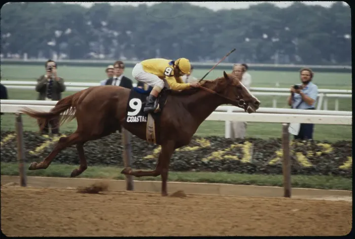 Framed Print : Ruben Hernandez and Horse Winning Belmont Stakes Framed Print : Ruben Hernandez and Horse Winning Belmont Stakes