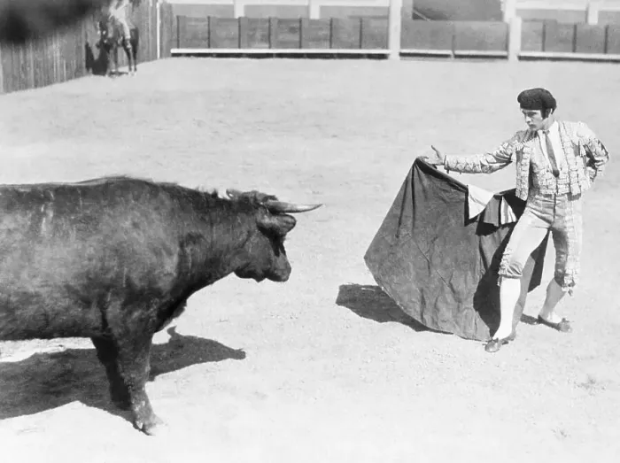 Framed Print : Rudolph Valentino Tempting a Bull Framed Print : Rudolph Valentino Tempting a Bull