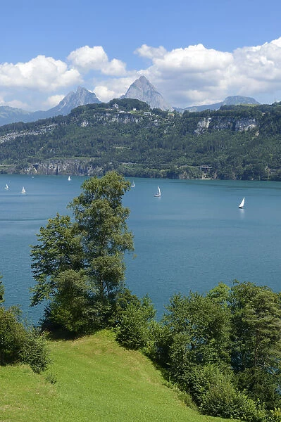 Ruetli, the founding site of Switzerland, with the Kleiner Mythen and Grosser Mythen mountains, Brunnen, Switzerland, Europe