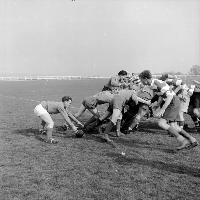 Framed Print : Rugby Scrum Framed Print : Rugby Scrum