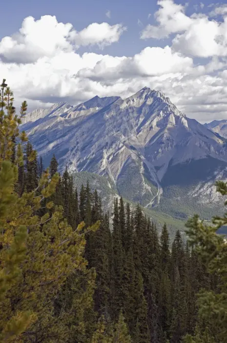 Framed Print : Rugged Canadian Rocky Mountains Framed Print : Rugged Canadian Rocky Mountains