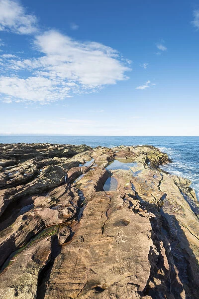 Rugged coastline with eroded sandstone on the Moray Firth at Tarbat Ness, Scotland, United Kingdom, Europe