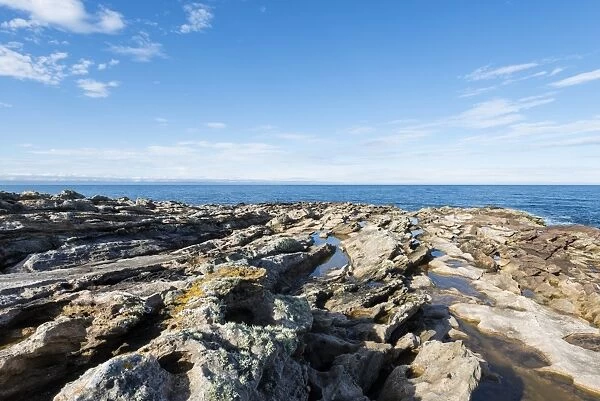 Rugged coastline with eroded sandstone on the Moray Firth at Tarbat Ness, Scotland, United Kingdom, Europe