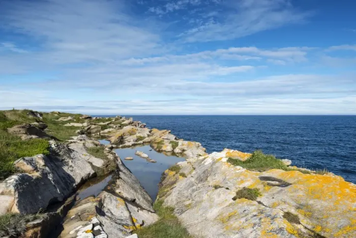 Framed Print : Rugged coastline on the Moray Firth at Tarbat Ness, Scotland, United Kingdom, Europe Framed Print : Rugged coastline on the Moray Firth at Tarbat Ness, Scotland, United Kingdom, Europe