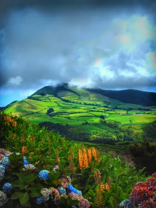 Framed Print : Rui Almeida Photography Framed Print : Rui Almeida Photography