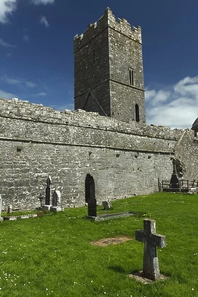 Ruins of Clare Abbey
